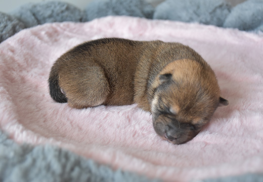 U乐·国际(中国)官方网站