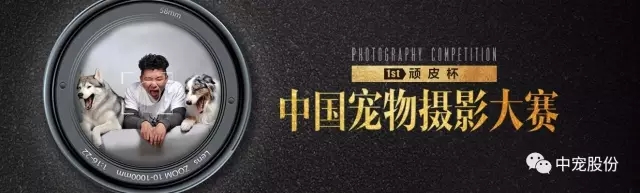 0cf7c05d5b294298b82a4c63875bfd86