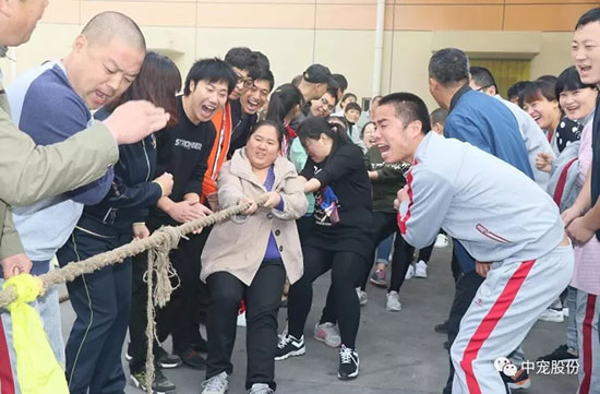 7da9a313854743a3a2d9a6a3b2e9e780