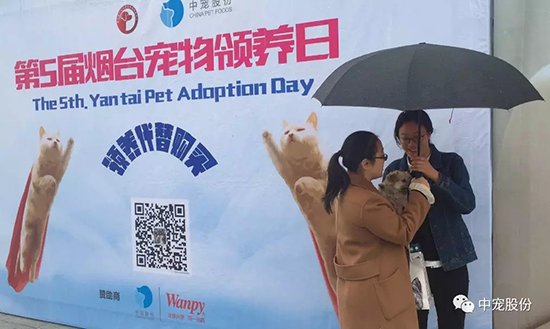 26e37e57a98f40c7b4f719f7597c3c40