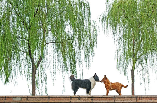 2ed6e40a6aa449399c380c2facca8f17