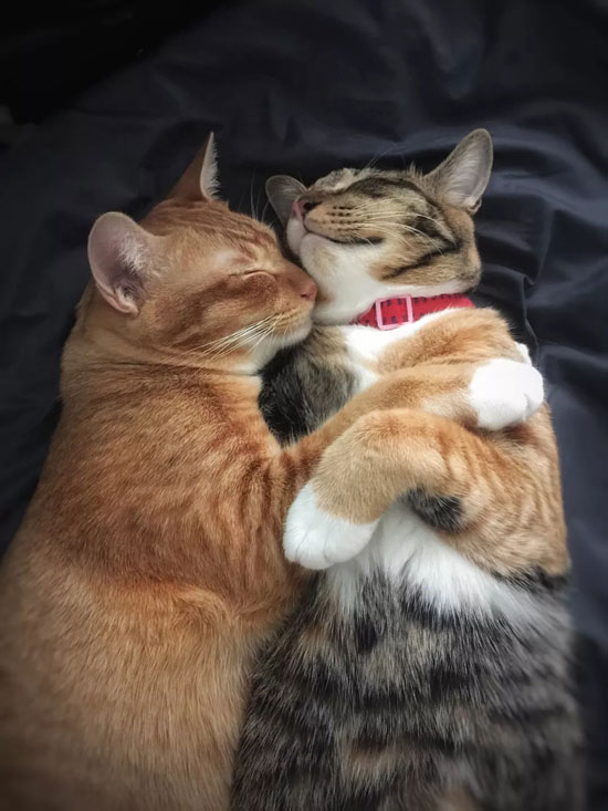 7004632fe6e349629e56369a69618660