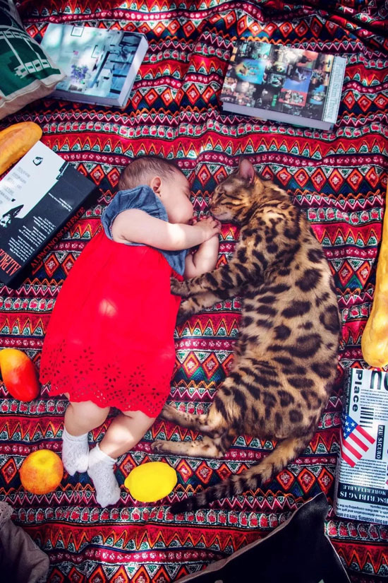 U乐·国际(中国)官方网站