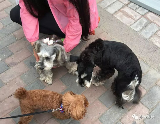 fcbb10f3a6bd4284acd448adbd6f1222