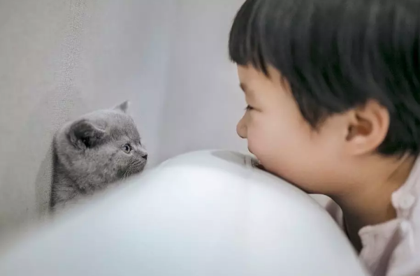 9956f6ac2e0b4582aa7b5bc10d764ed9