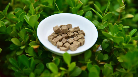 678f553bf2ad45cf8c4f4f2dade78c11