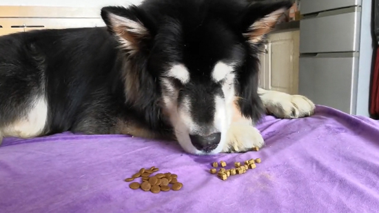 7c7a4a46a5cc4027acf4765736dd5ae9