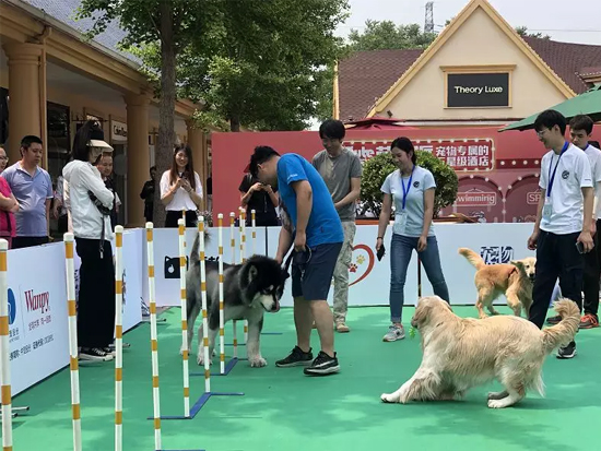 f84bc2970e624dcca9b7d4bced4e56df