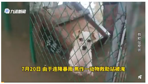 8778e21948b546d8ab7d6750a7f1c2a6