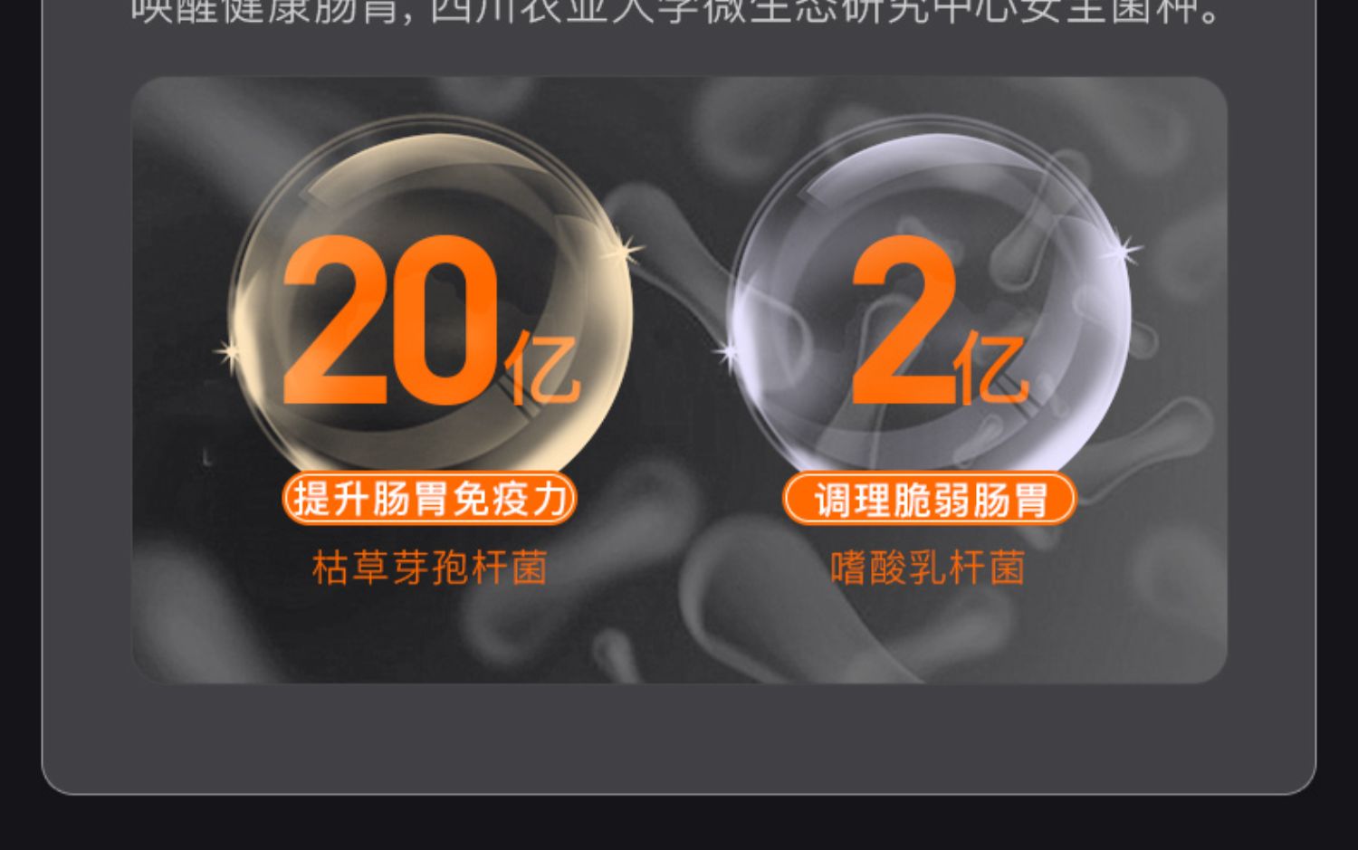 fe4a65f57ce64af7884074951e25823b