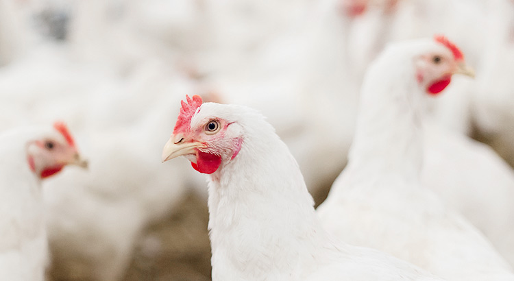 U乐·国际(中国)官方网站