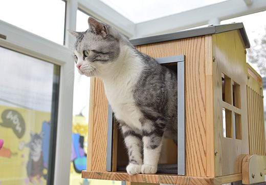 U乐·国际(中国)官方网站