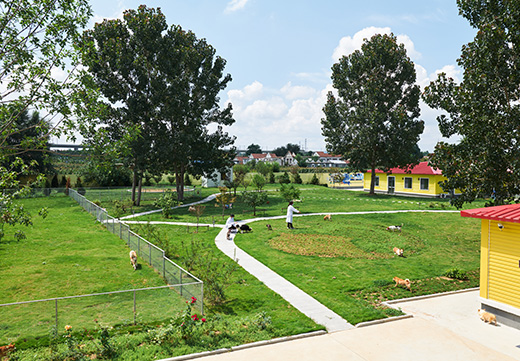 U乐·国际(中国)官方网站