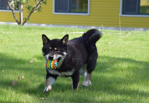 U乐·国际(中国)官方网站