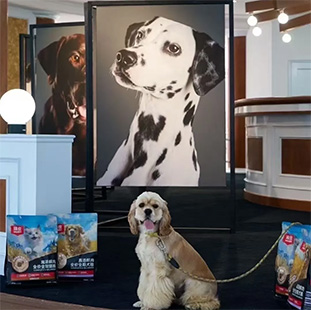 23c46fc61e3e4ab5afd11e4c268a71a1